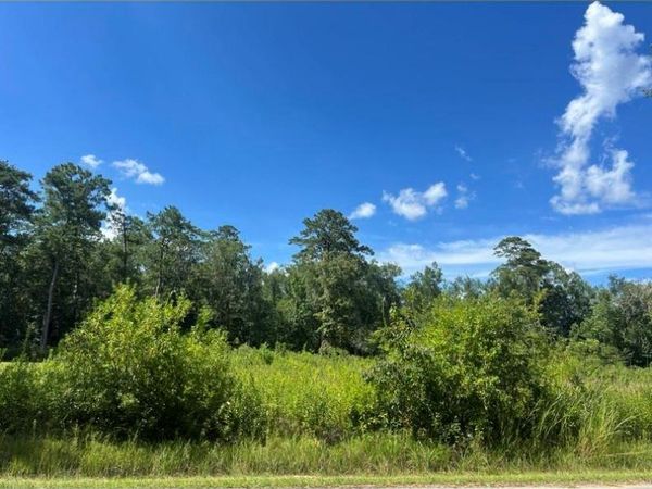 0 MAX MERCER Road , Pearl River, LA 70452