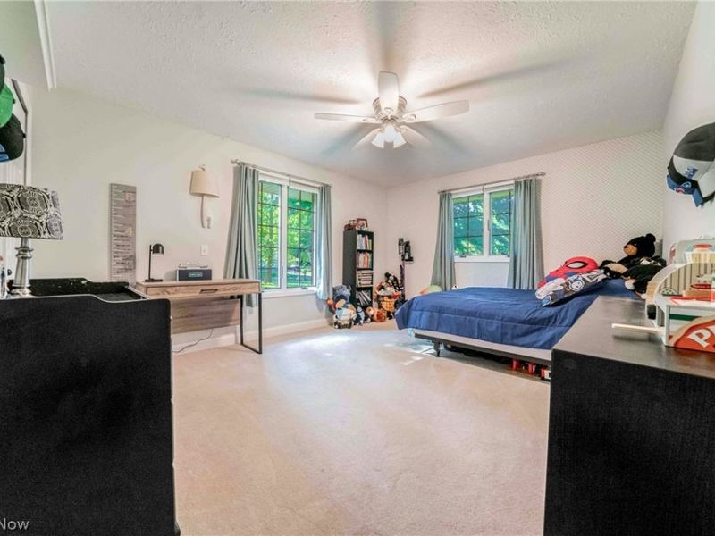 4351 Stoney Ridge Road, Avon, OH 44011 Photo 17
