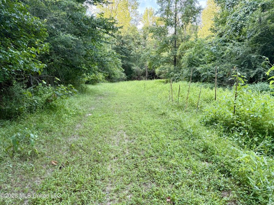 Property Image 41