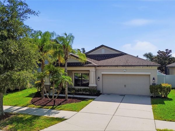 4738 WOODS LANDING LANE , TAMPA, FL 33619