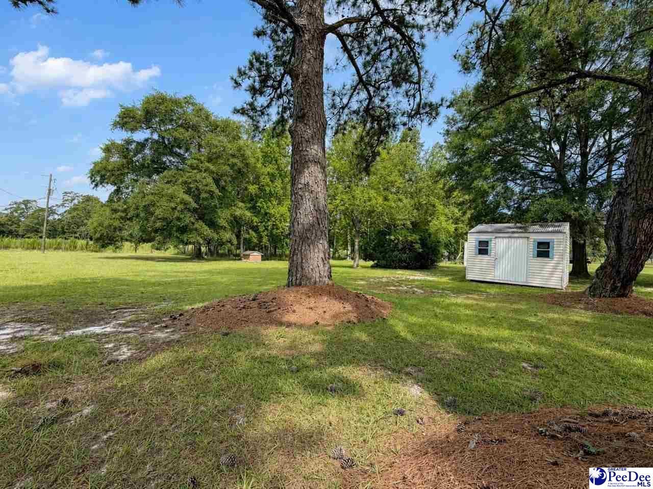 421 W New Hope Road Photo 15