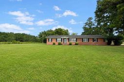 421 W New Hope Road photo 4