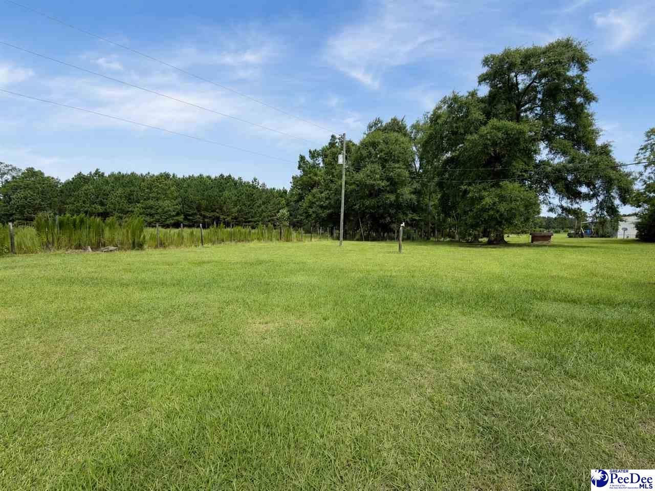 421 W New Hope Road Photo 5