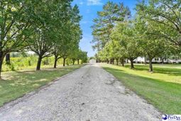 41 New Zion Road photo 4