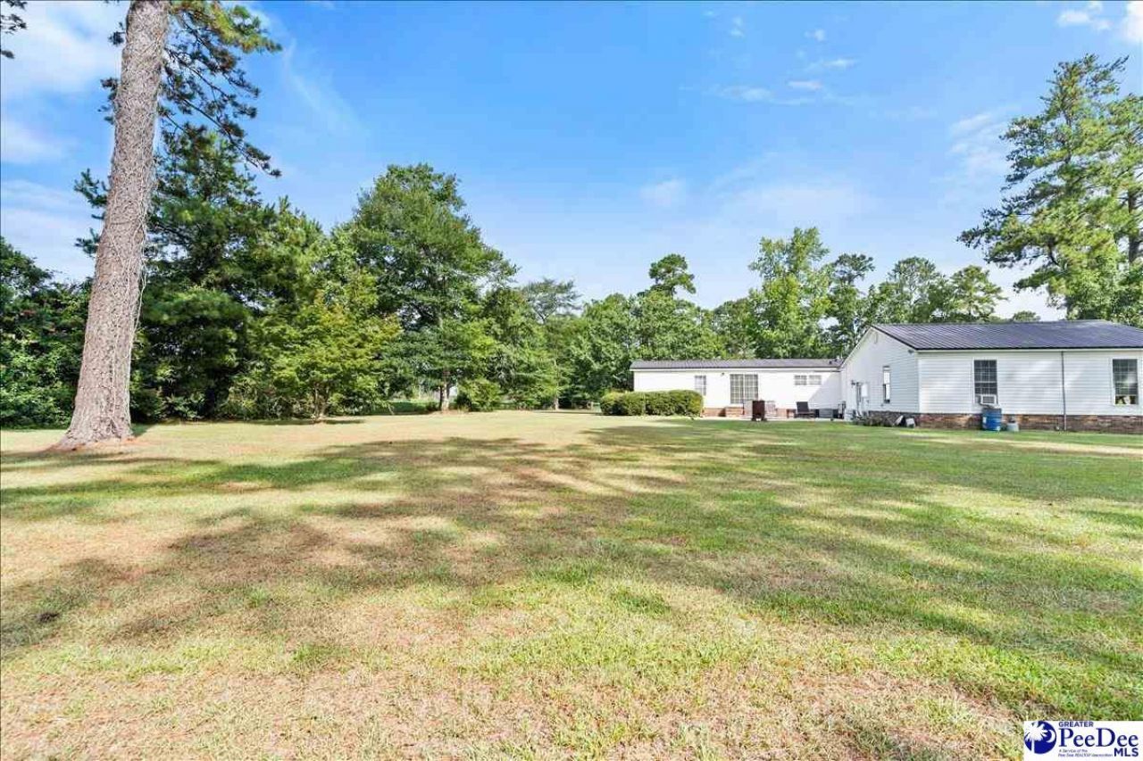 41 New Zion Road Photo 41