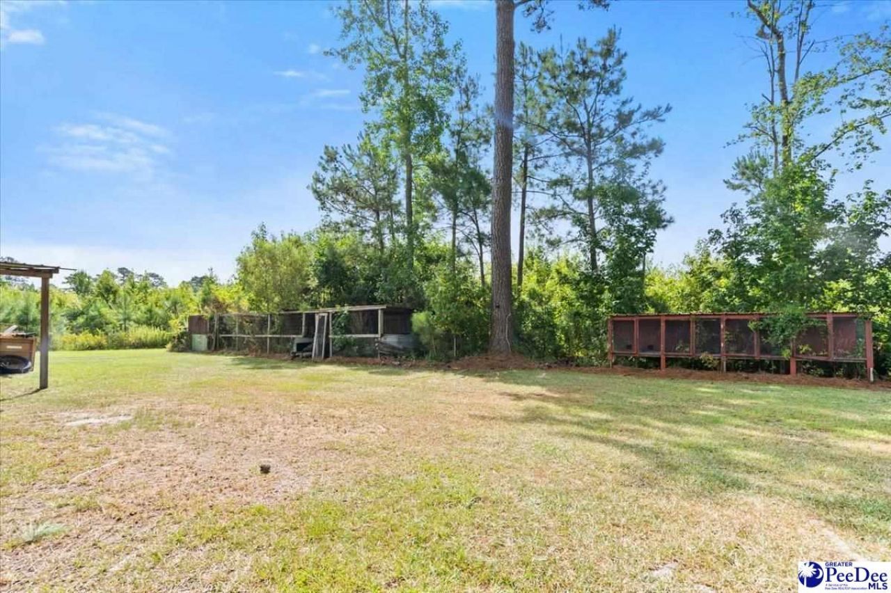 41 New Zion Road Photo 44