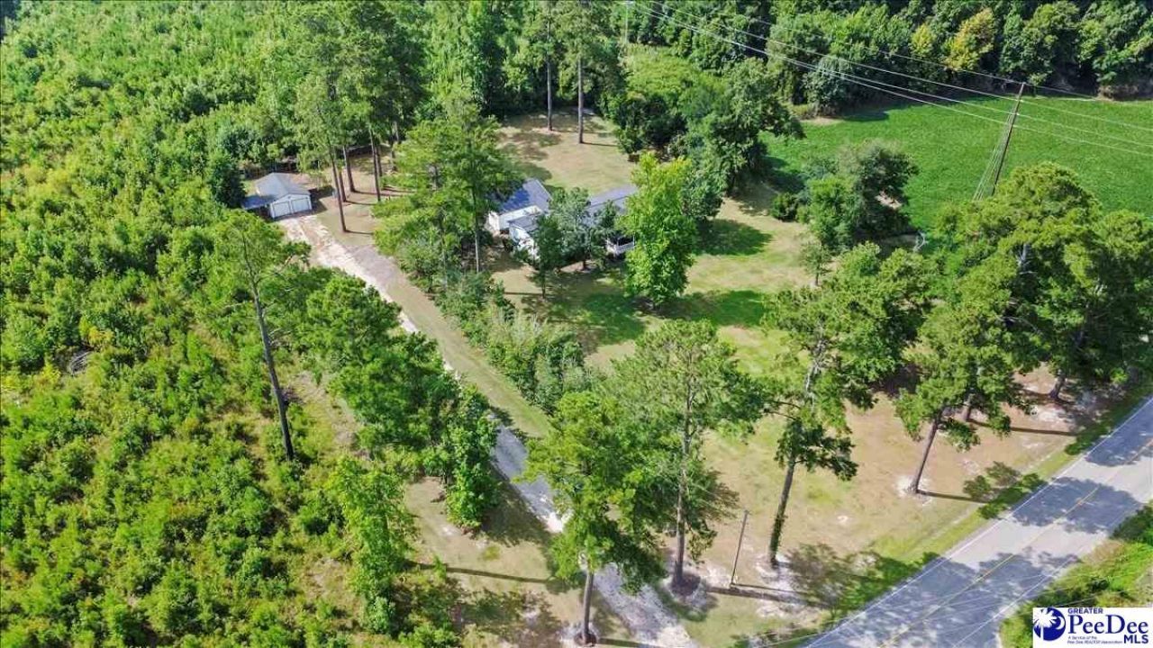 41 New Zion Road Photo 46