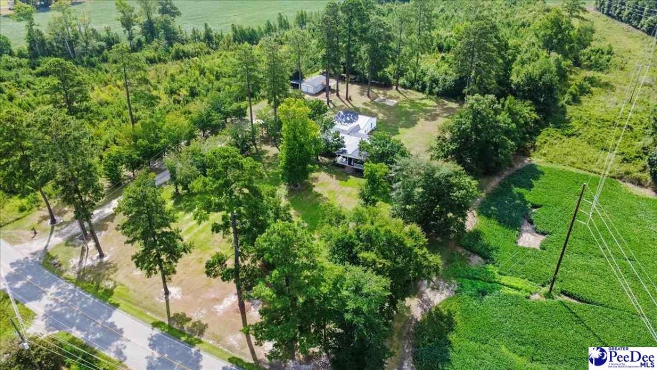 41 New Zion Road Photo 48
