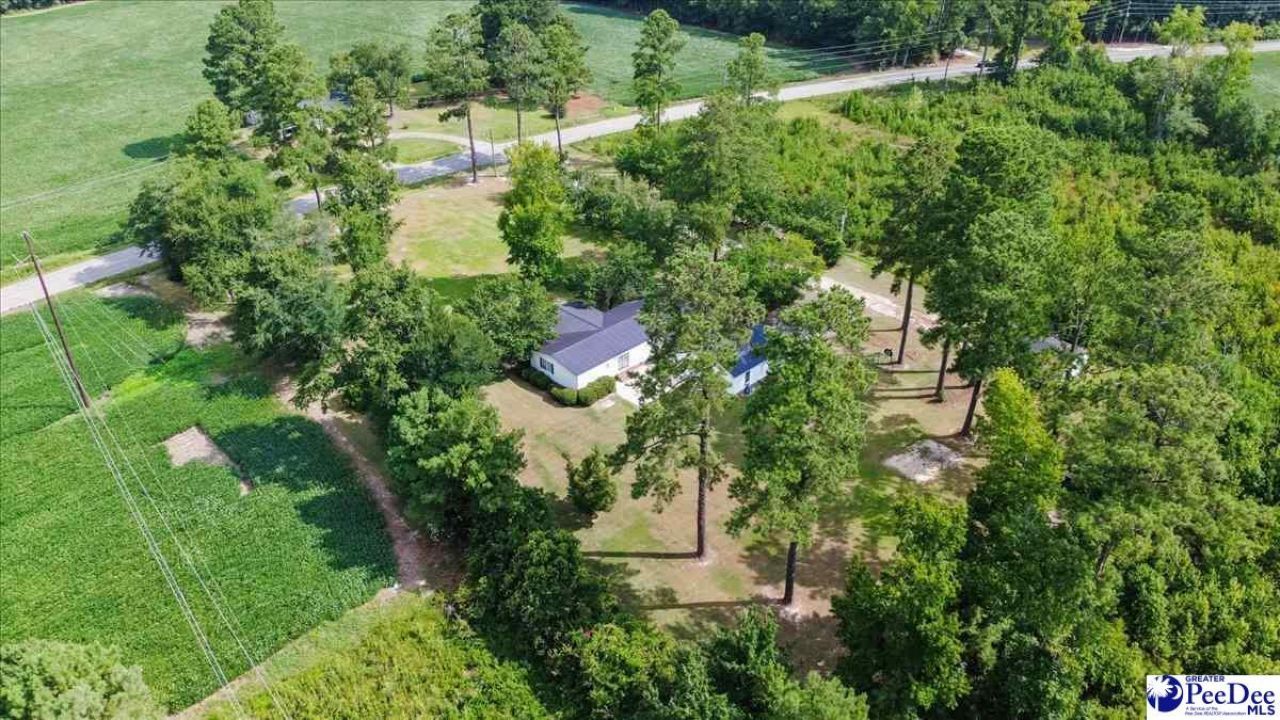 41 New Zion Road Photo 49