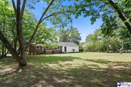 403 Diane Dr photo 4