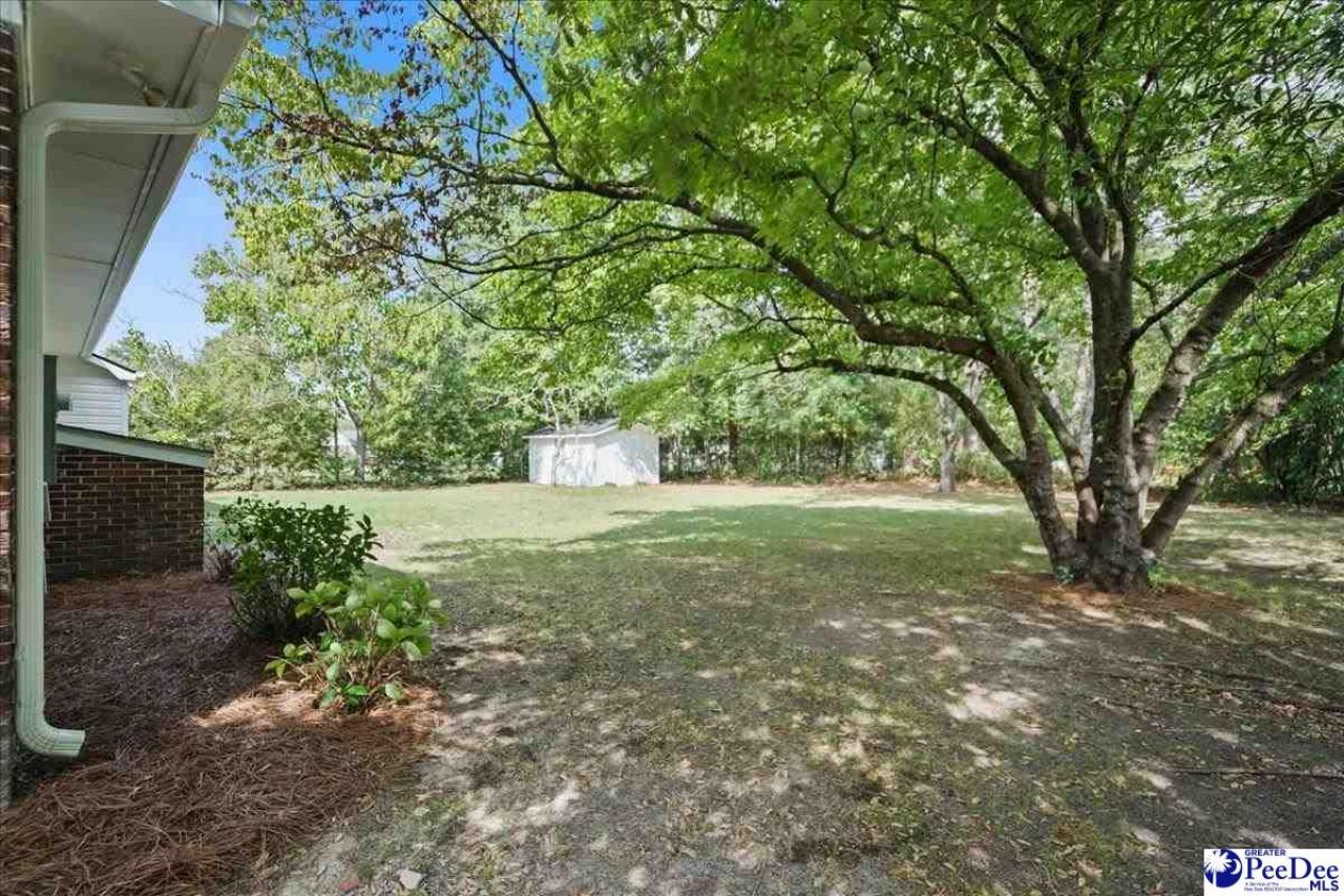 403 Diane Dr Photo 27