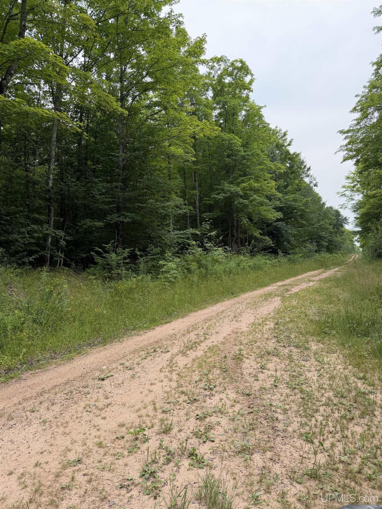 Tbd8 Off Wilderness Drive, Ontonagon Twp, MI 49953 Main Photo