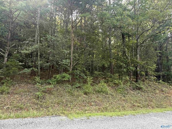 Lot 7 Yellow Creek Drive, Leesburg, AL 35983