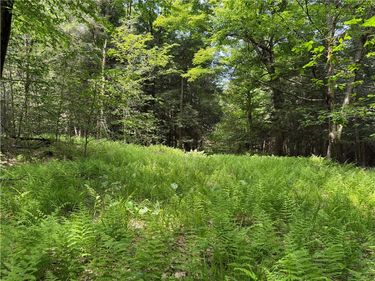 VL 106 Road , Alma, NY 14708