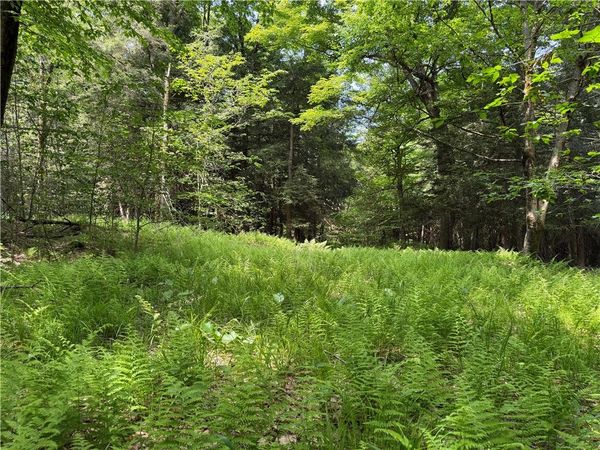 VL 106 Road , Alma, NY 14708