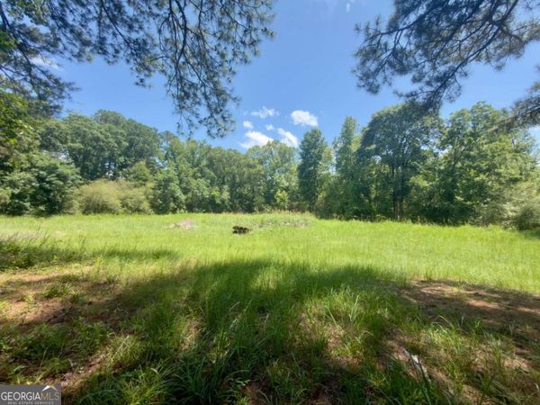 7.69 Leslie Mill Road, Greensboro, GA 30642