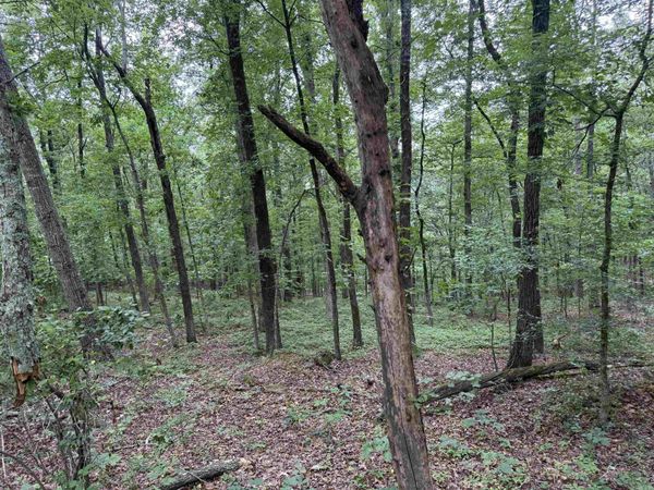 Pine Drive , Heber Springs, AR 72543