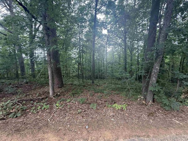 Pine Drive , Heber Springs, AR 72543
