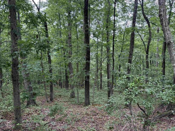 Pine Drive , Heber Springs, AR 72543