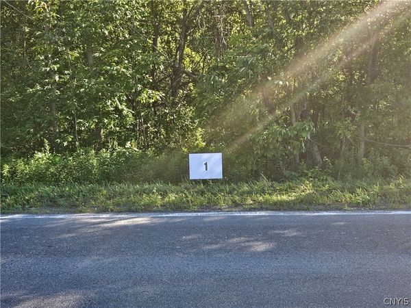 Lot 1 RT 58, Mexico, NY 13114