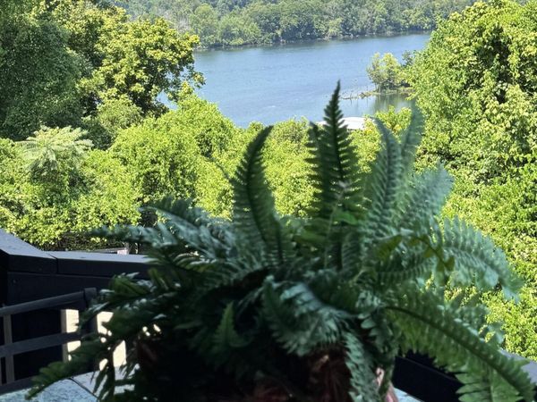 150 Sunken Forest Drive , Unit # 252, Forsyth, MO 65653