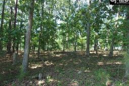 216 Rebecca Drive  photo 4