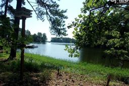 216 Rebecca Drive  photo 4