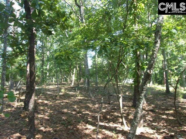 216 Rebecca Drive  Photo 4