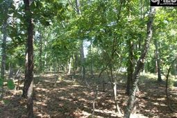 216 Rebecca Drive  photo 4