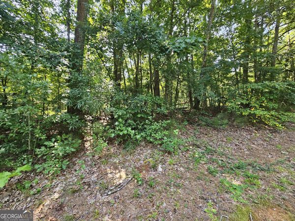 LOT 4 June Ivey Rd, Bethlehem, GA 30620