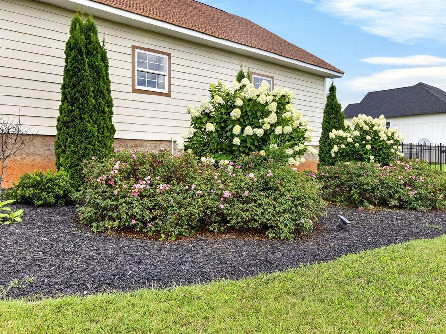 Property Image 82