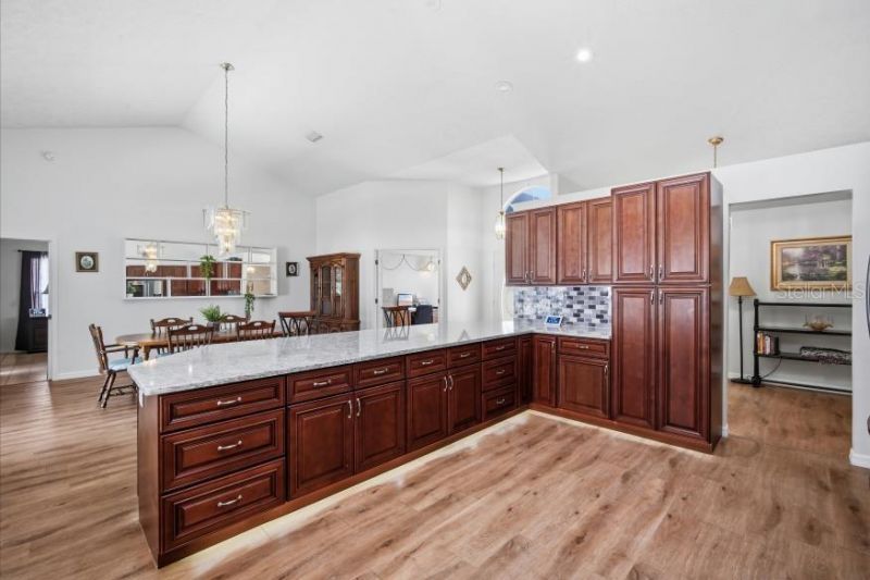 483 Lincoln Avenue, Masaryktown, FL 34604 Photo