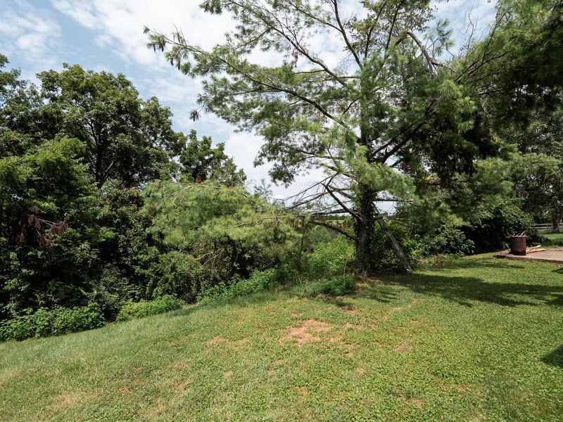 1875 Barnes Road, Williamstown, KY 41097 Photo 13