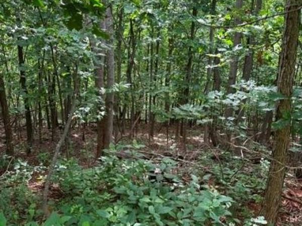 0 Cove Gap Road , Moravian Falls, NC 28654