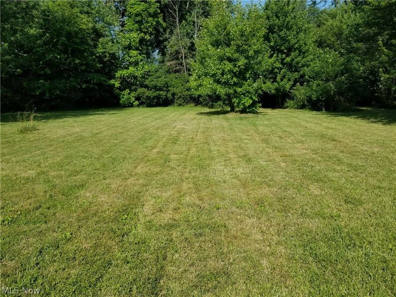 V/L Howell Street , Sheffield Lake, OH 44054 Photo 2