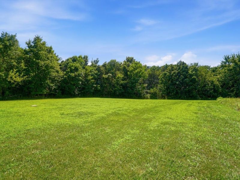 10228 State Route 730, Blanchester, OH 45107 Photo 29