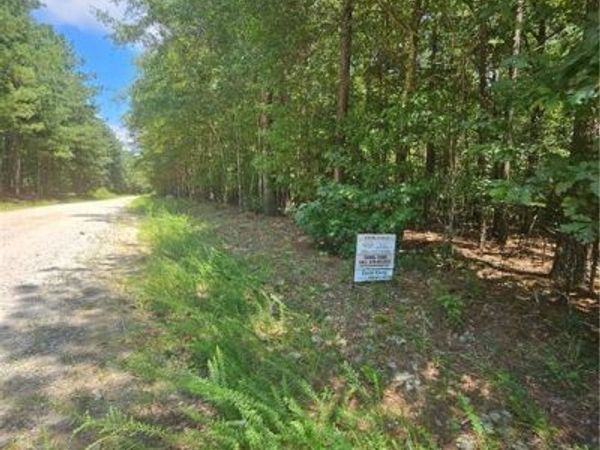 292 Mccannon Rd Tract 3, Carlton, GA 30627