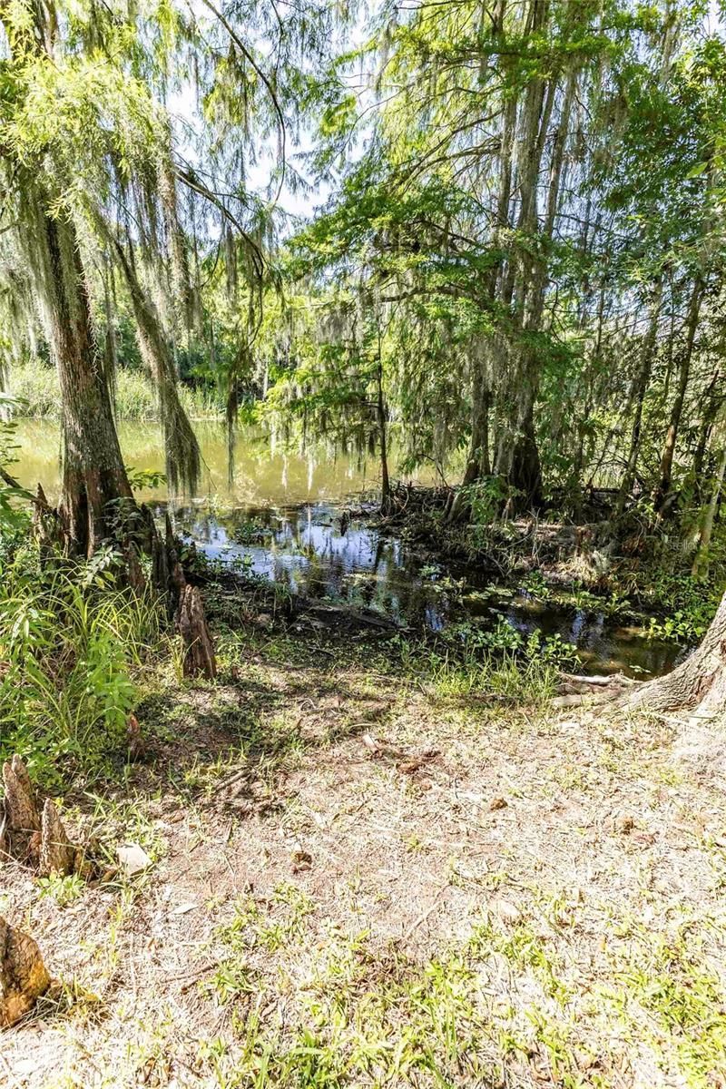 2886 N C 470, Lake Panasoffkee, FL 33538 Photo