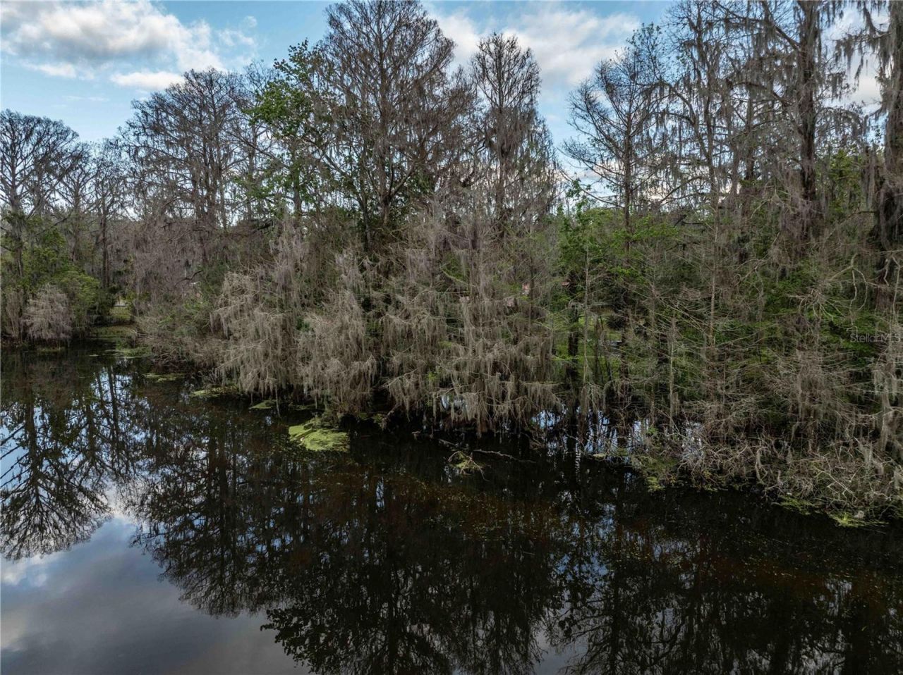 2886 N C 470, Lake Panasoffkee, FL 33538 Photo