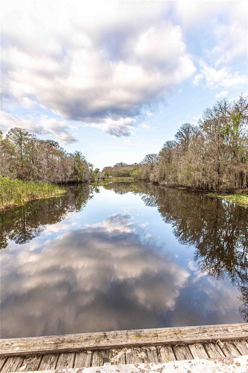 2886 N C 470, Lake Panasoffkee, FL 33538 Photo