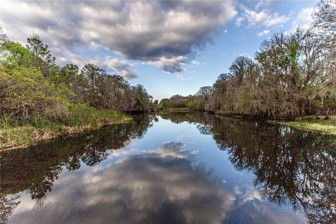 2886 N C 470, Lake Panasoffkee, FL 33538 Photo