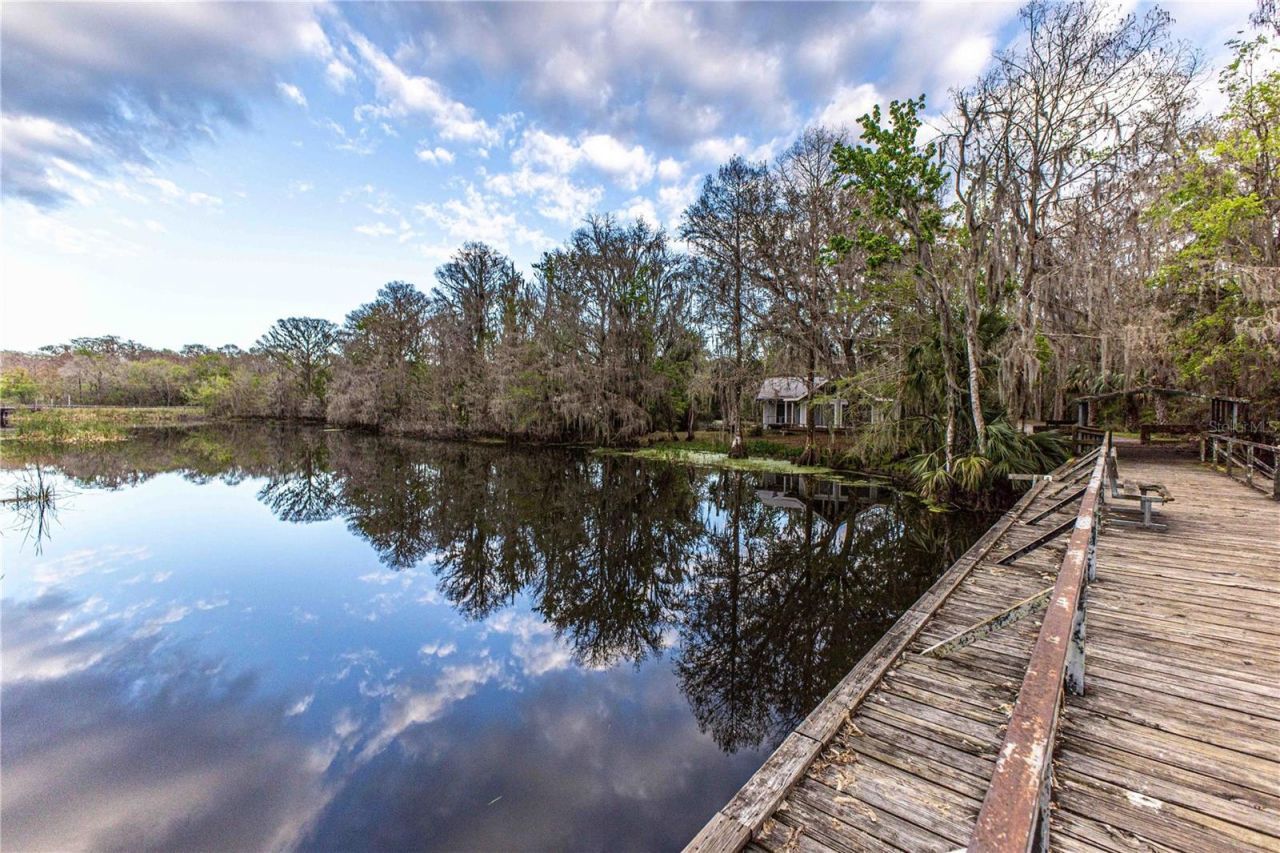 2886 N C 470, Lake Panasoffkee, FL 33538 Photo