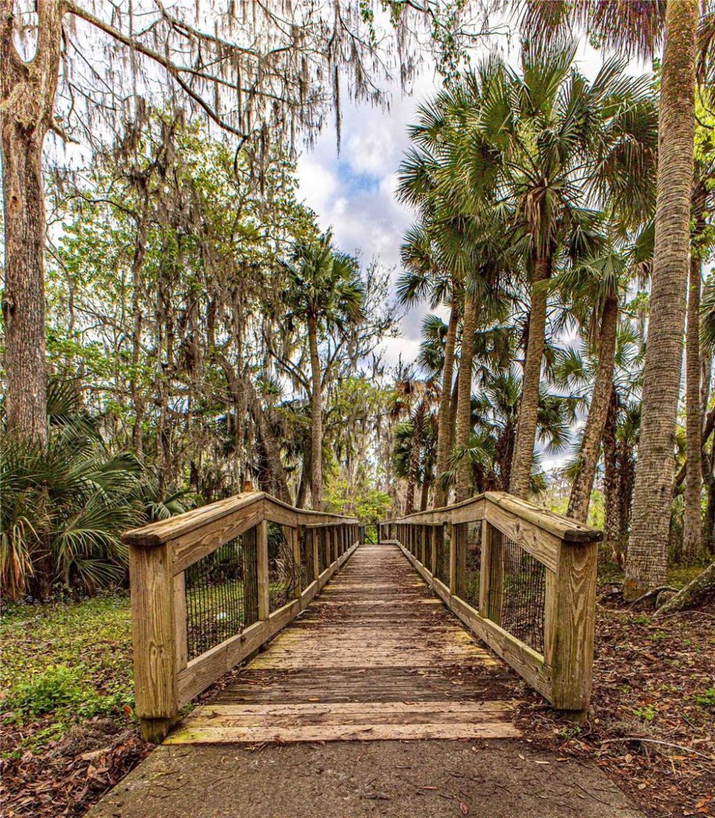 2886 N C 470, Lake Panasoffkee, FL 33538 Photo