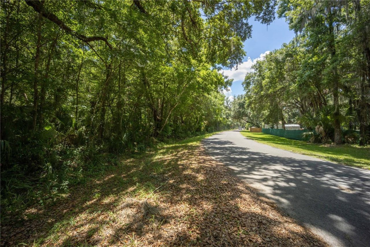 2886 N C 470, Lake Panasoffkee, FL 33538 Photo