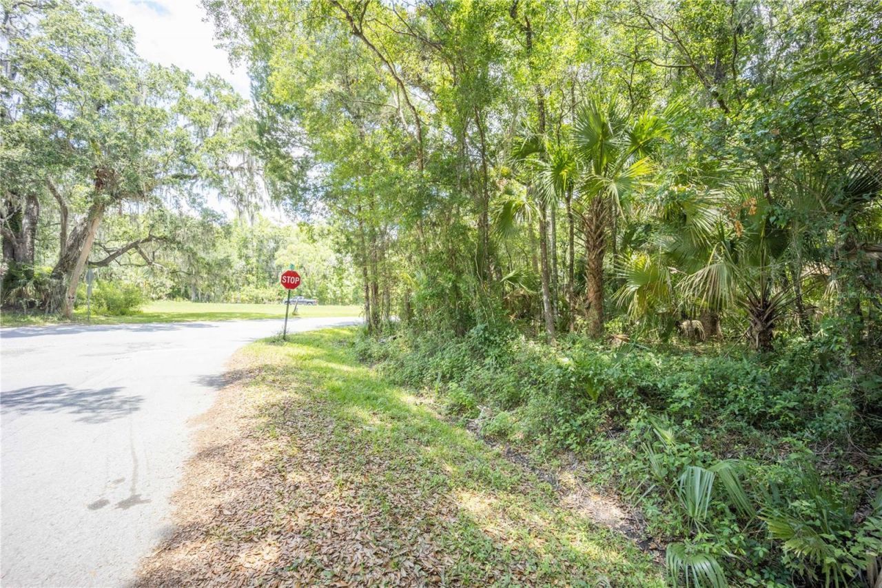 2886 N C 470, Lake Panasoffkee, FL 33538 Photo