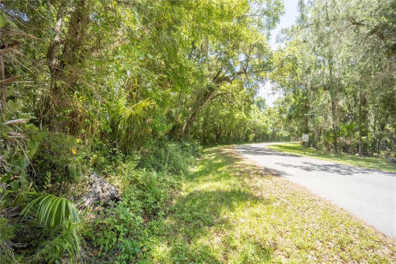 2886 N C 470, Lake Panasoffkee, FL 33538 Photo