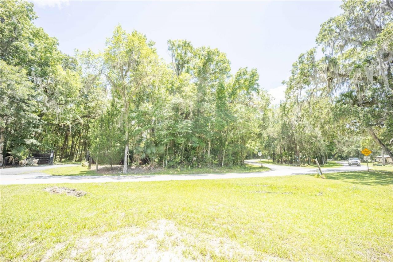 2886 N C 470, Lake Panasoffkee, FL 33538 Photo