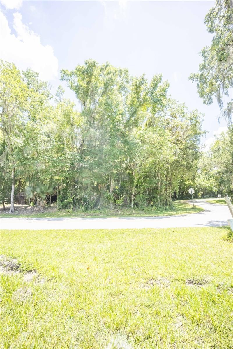 2886 N C 470, Lake Panasoffkee, FL 33538 Photo