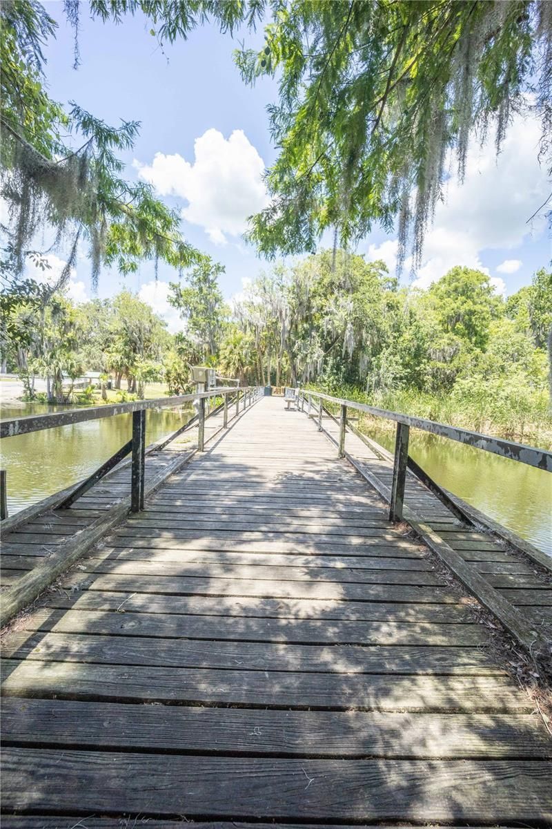 2886 N C 470, Lake Panasoffkee, FL 33538 Photo