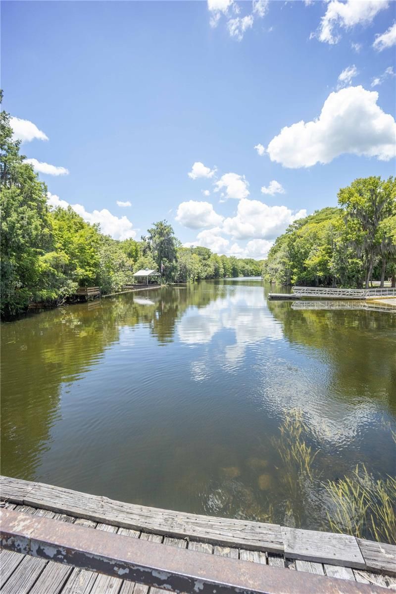 2886 N C 470, Lake Panasoffkee, FL 33538 Photo